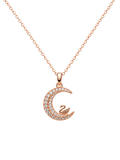 Swan Moon Necklace